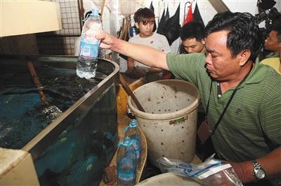 多地水产品曾检出孔雀石绿 禁用兽药网上偷偷卖